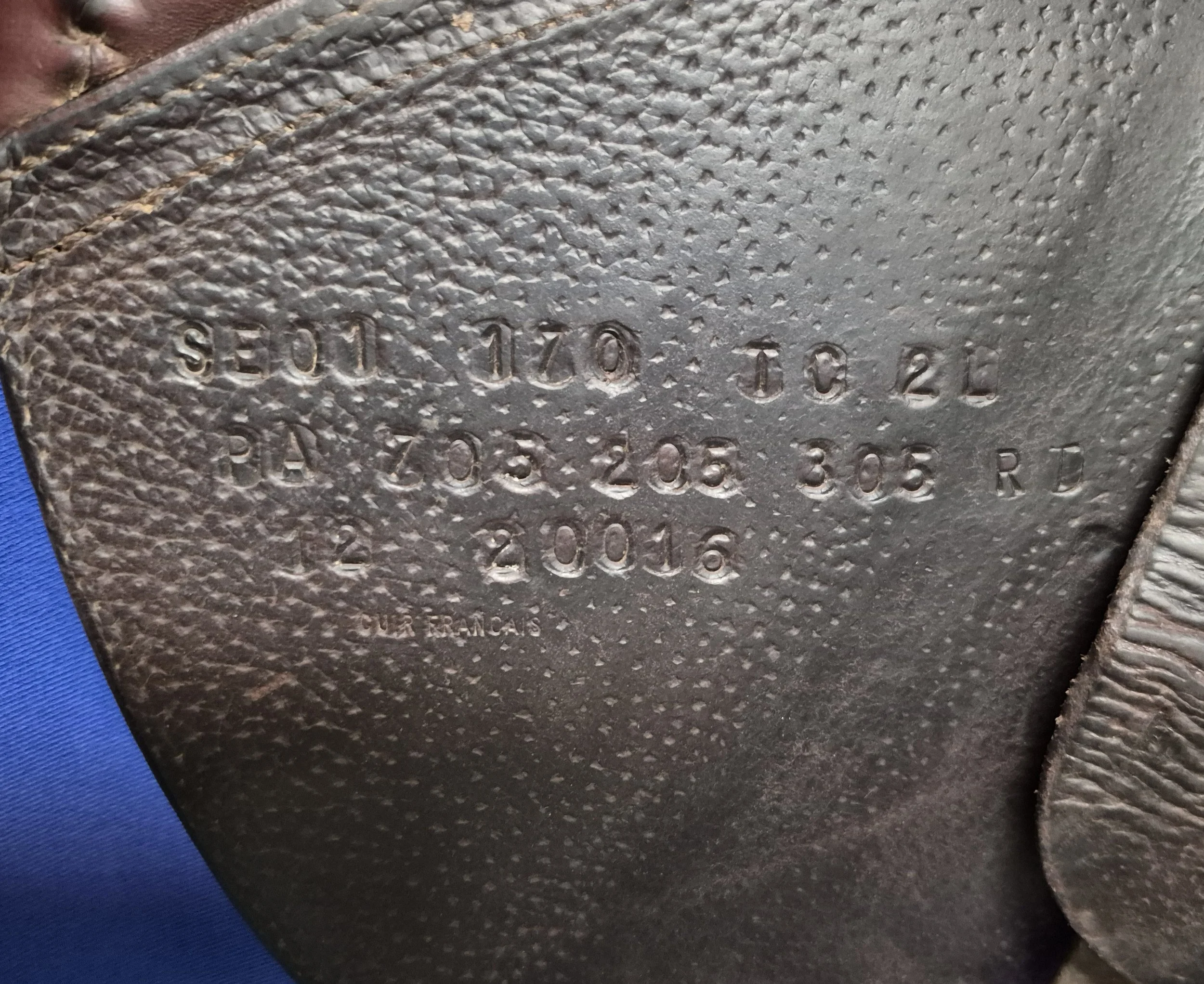 1000046079.jpg