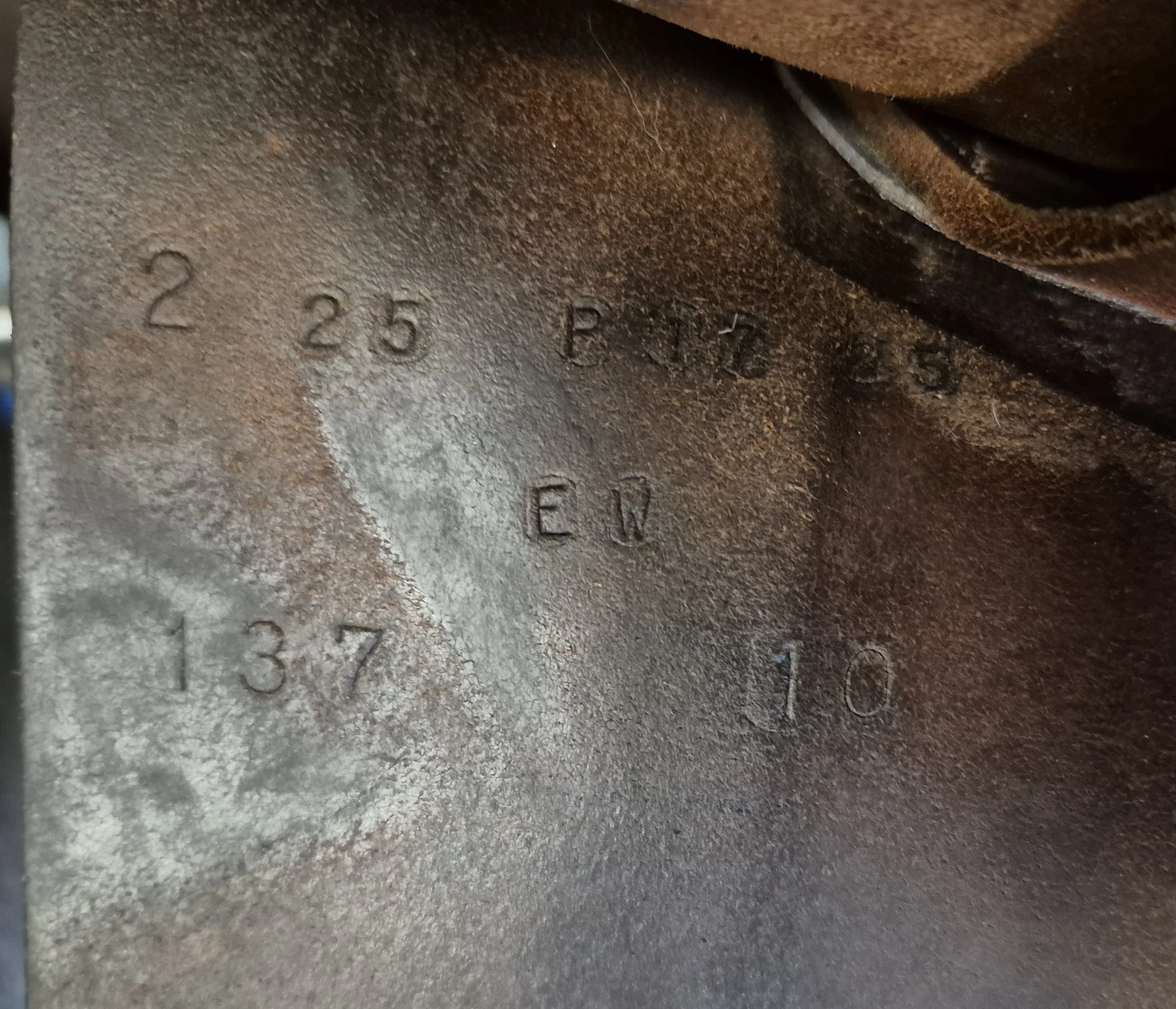 1000021753.jpg