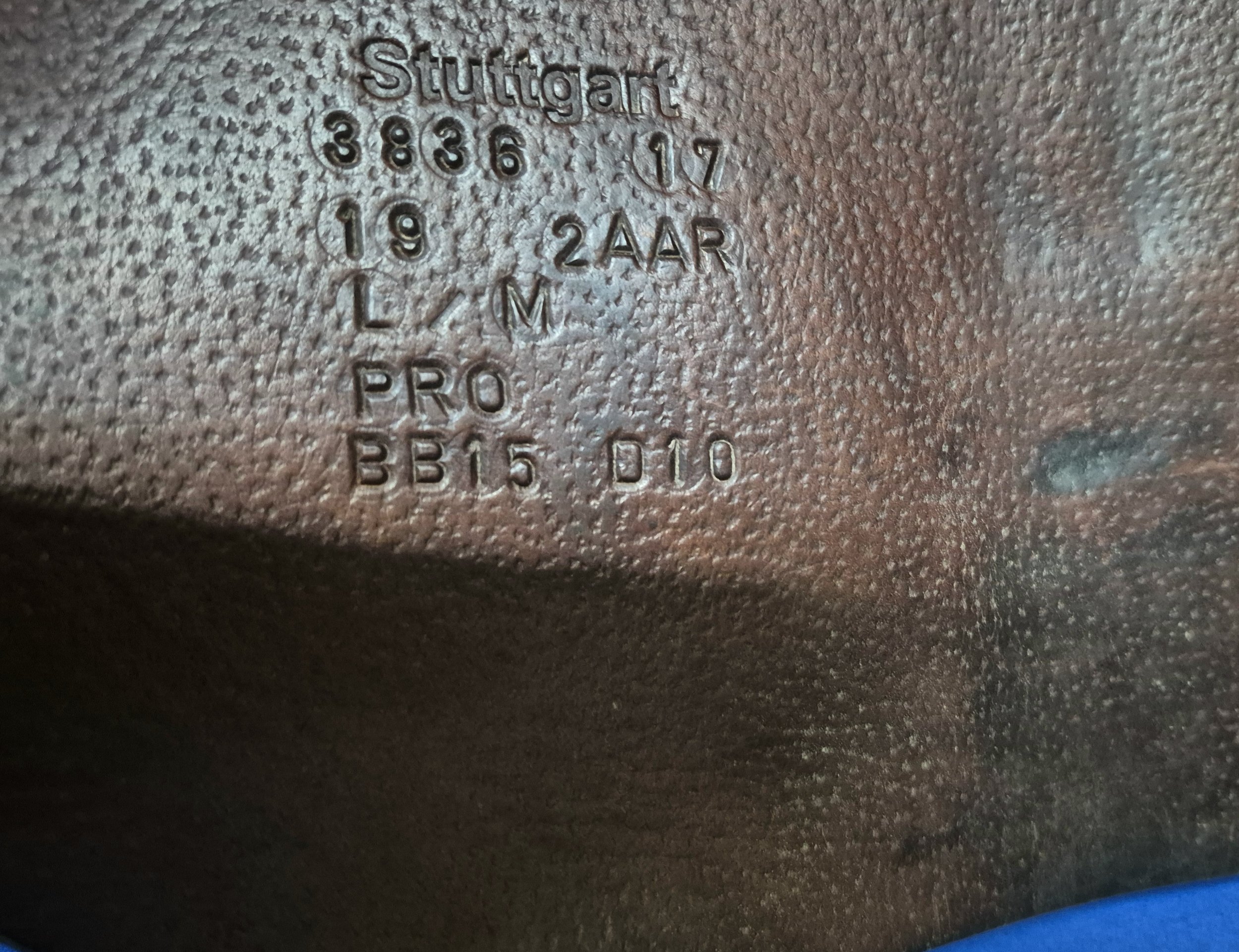 1000056274.jpg