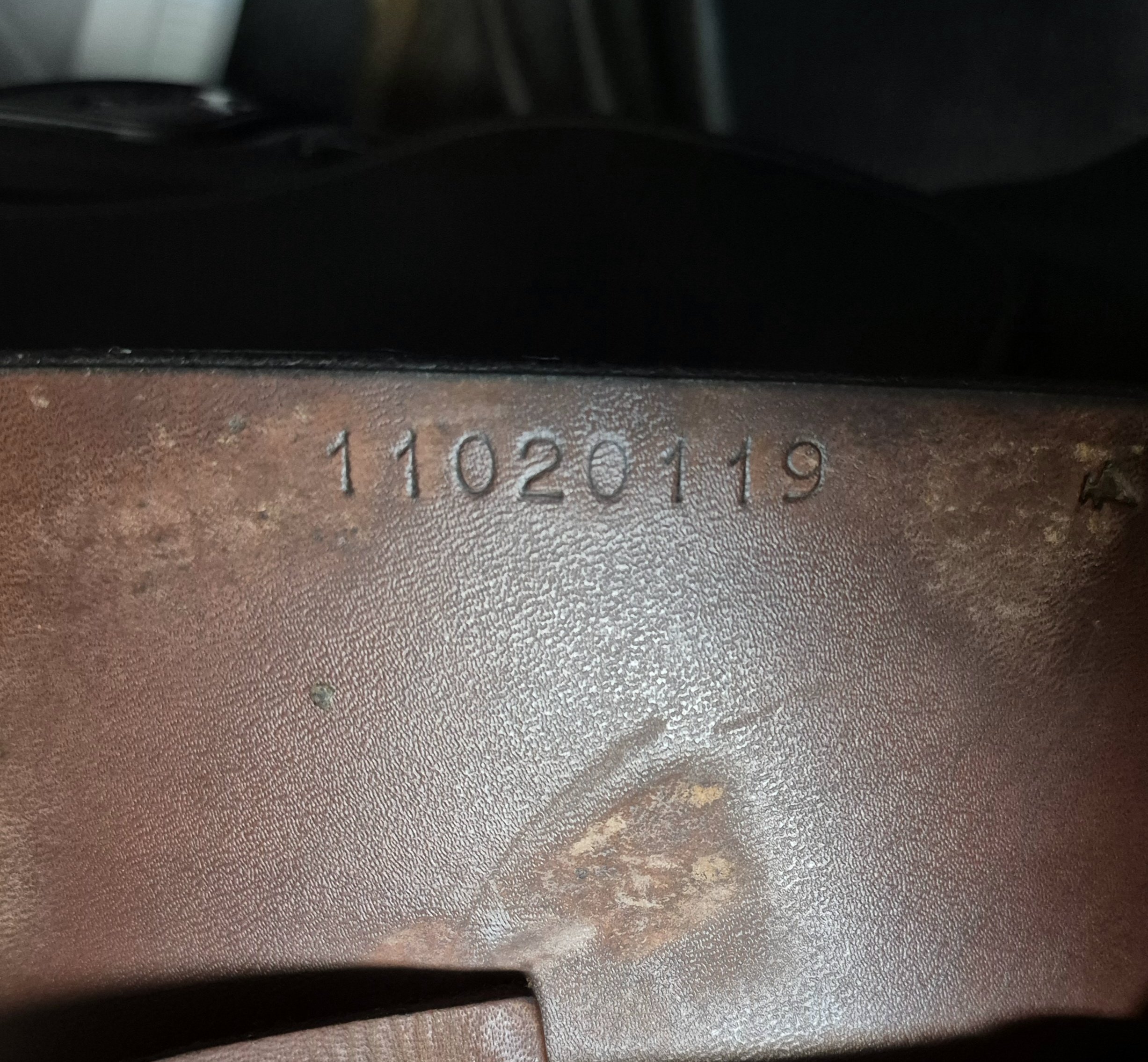 1000056091.jpg