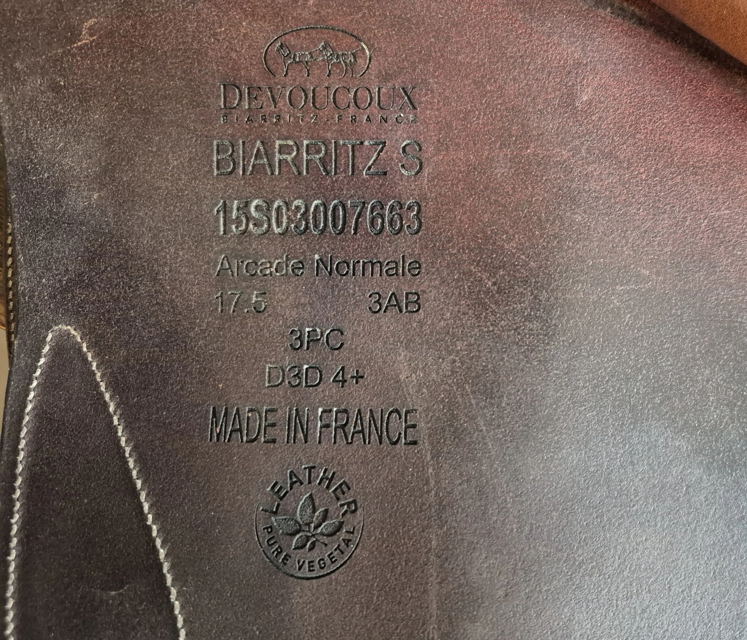 1000041297.jpg