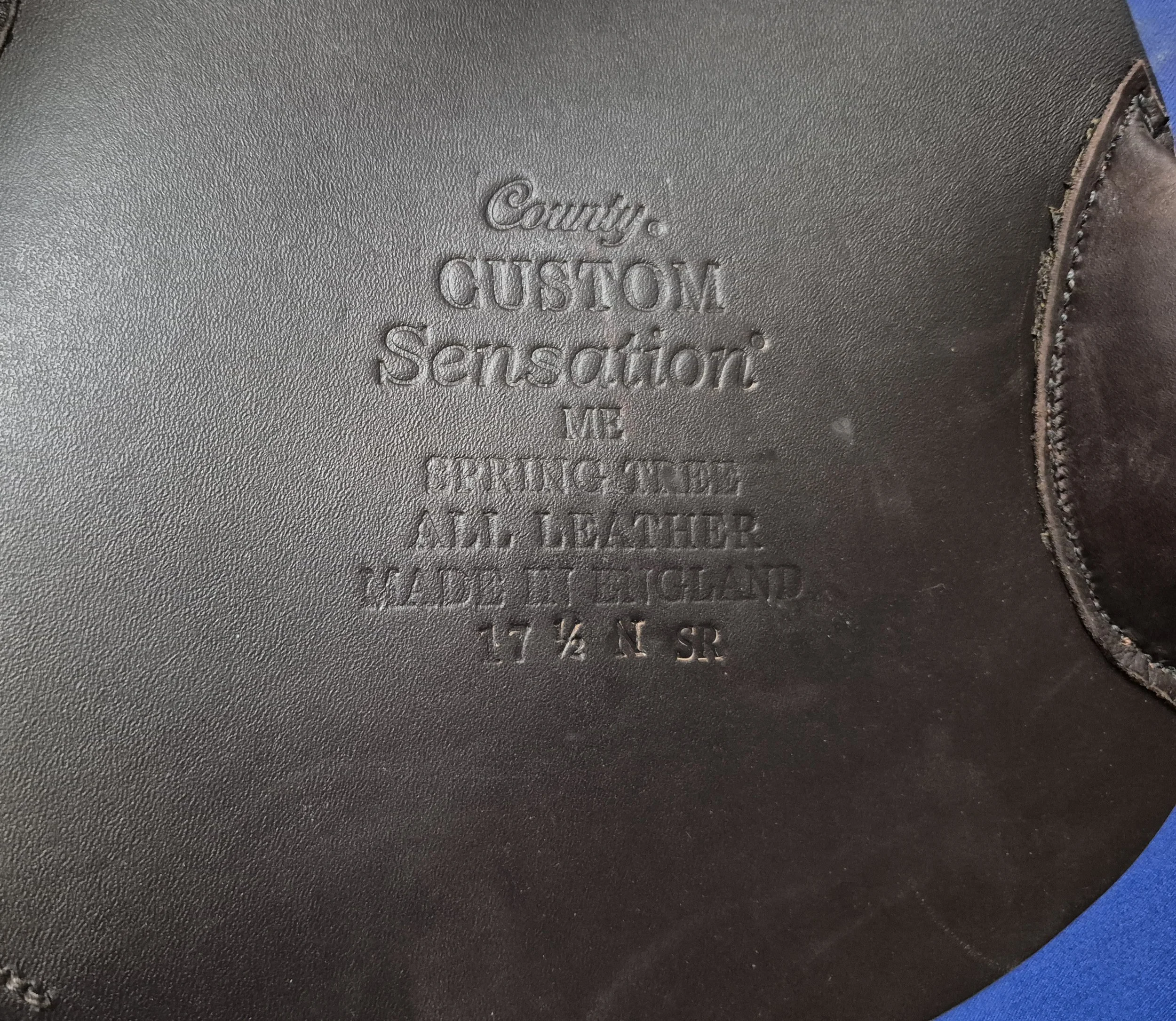1000053746.jpg