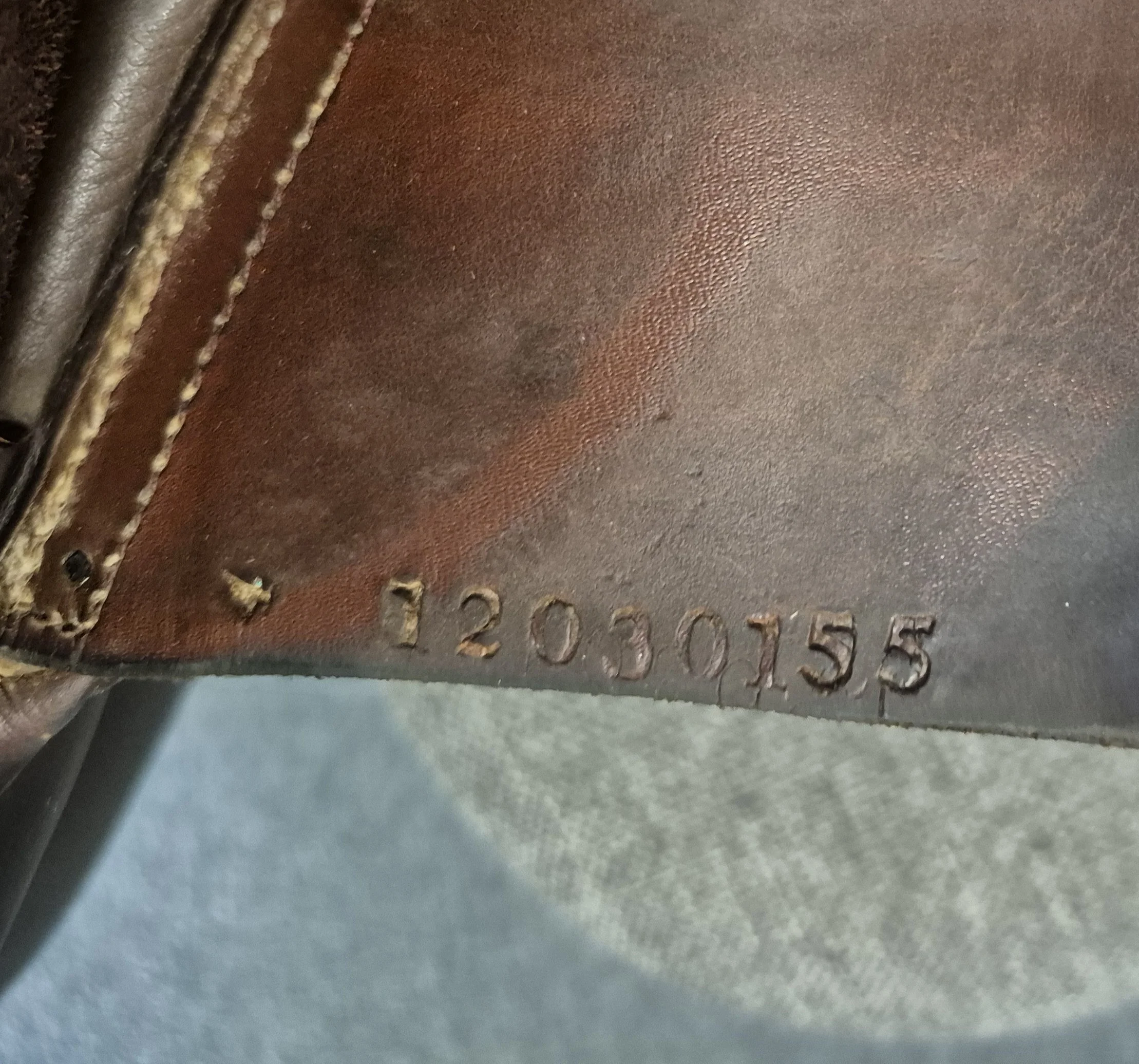 1000044081.jpg