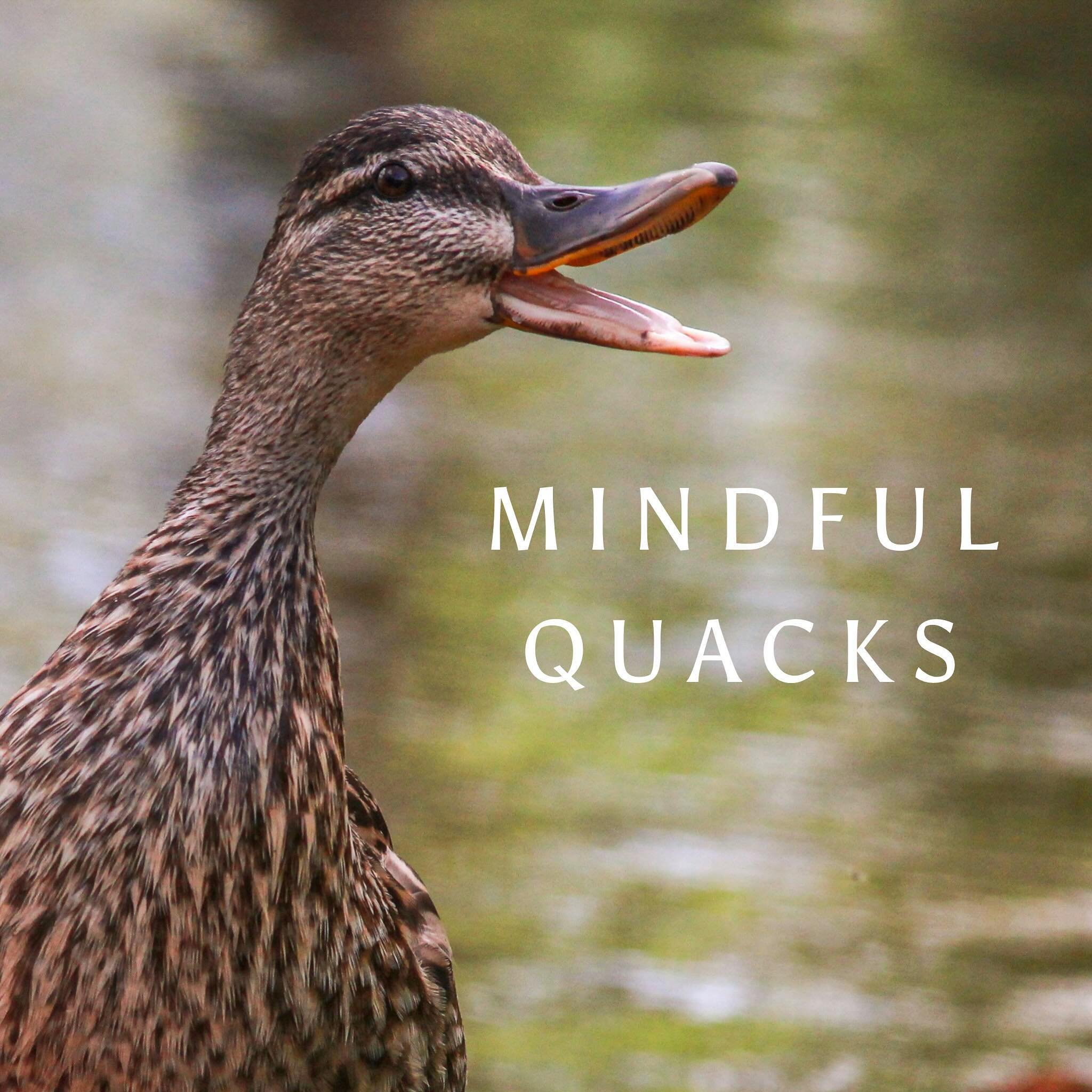 Feeling like conversations are speeding up faster than a duck&rsquo;s quack? 🦆 Find yourself rapidly trying to get all the words out in the short amount of time you have because you&rsquo;ve got to get on to the next thing? Breathe. Slow it down! Le