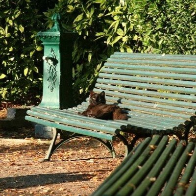 banc-public-parc-chat-noir.jpg