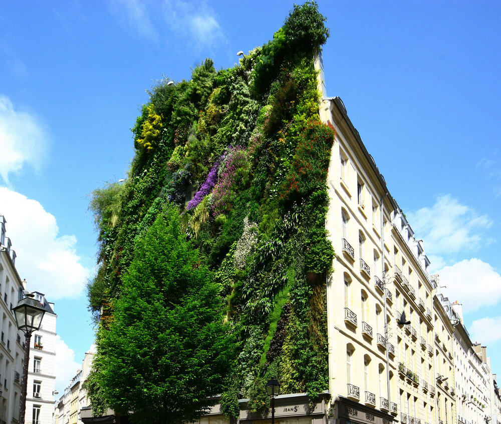 Philippe-Clergeau-villes-vegetalisees.jpg
