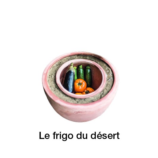 histoire-frigo-du-désert-design-sur-écoute.jpg