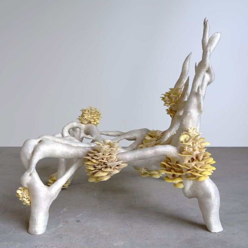 mycelium_chair_2.jpeg