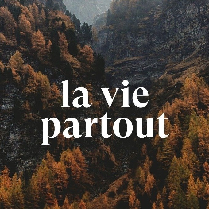 #183 - LA VIE PARTOUT