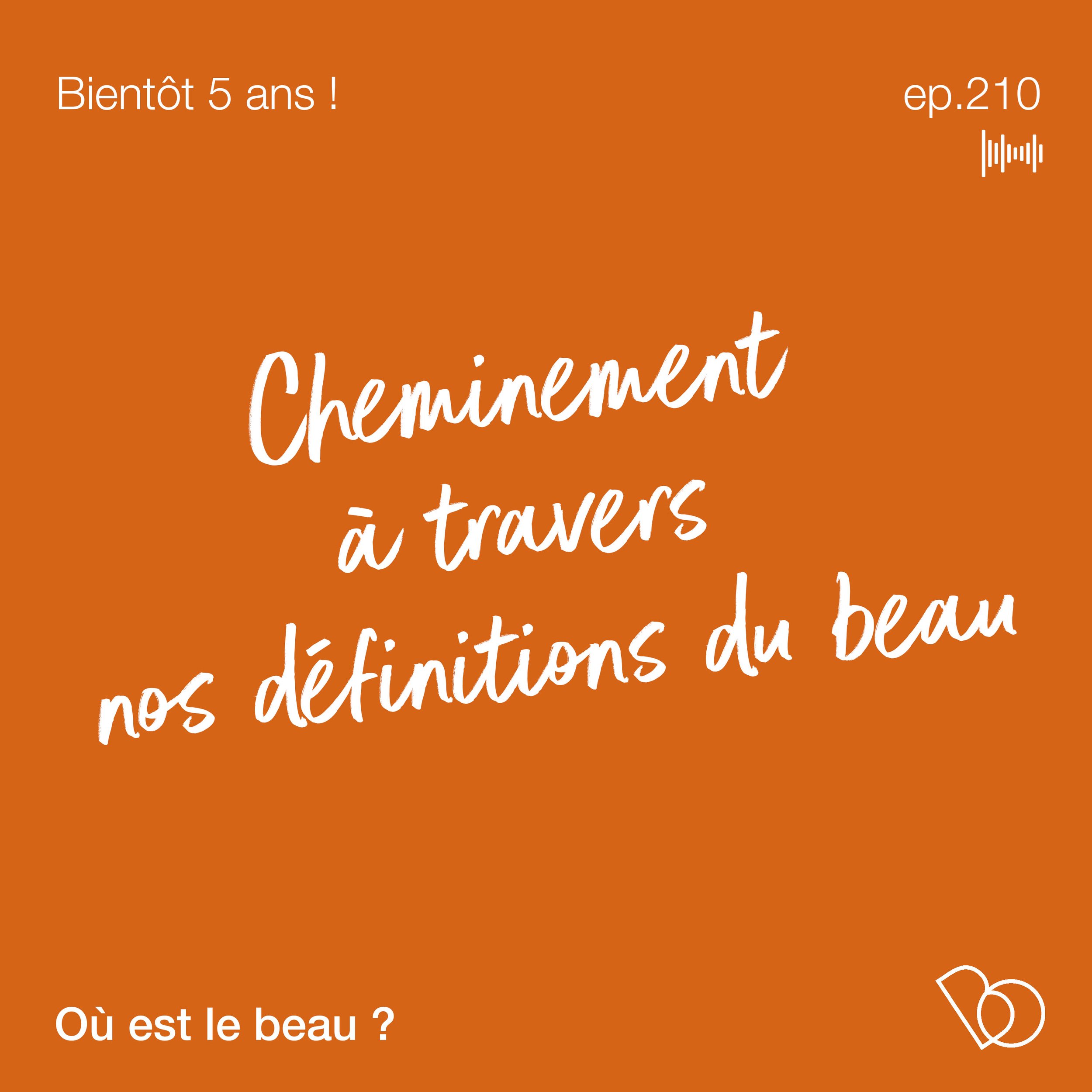 #210 - CHEMINEMENT À TRAVERS NOS DÉFINITIONS DU BEAU