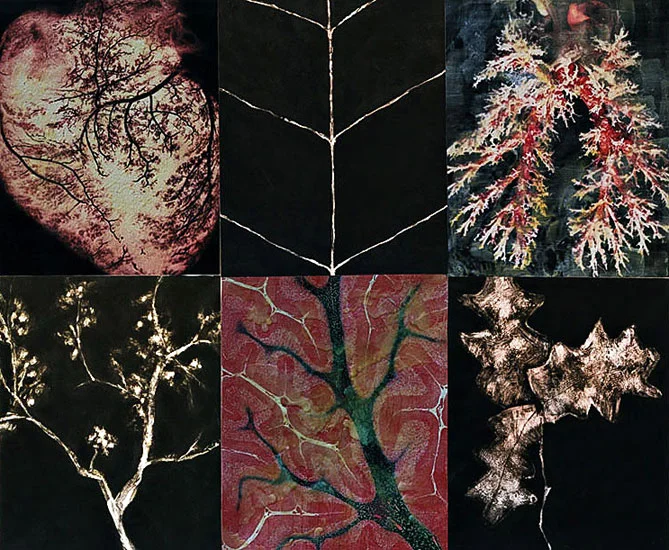 Naturaleza Interior, Naturaleza Exterior Digital print & mixed media on canvas. 156 x 190 cm.