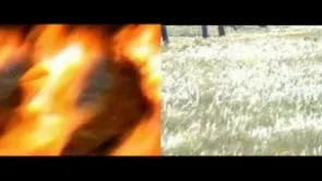    4 elementos (fragmento 1)   