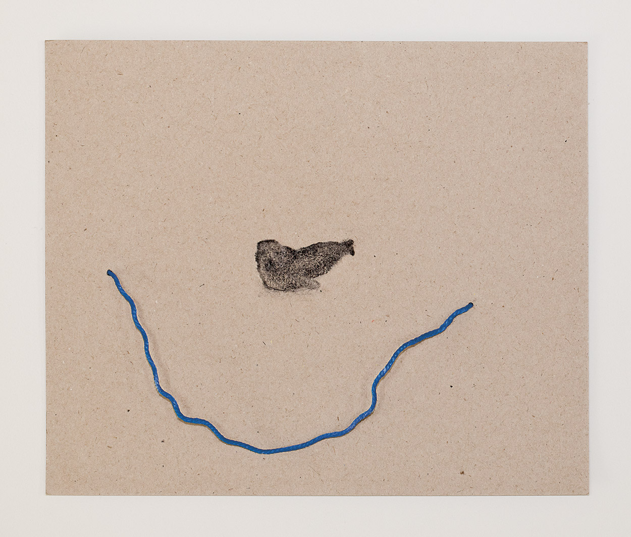    Monachus monachus II    / Foca Monge  Charcoal drawing and plastic found at the beach. 28 x 23,5 cm. 