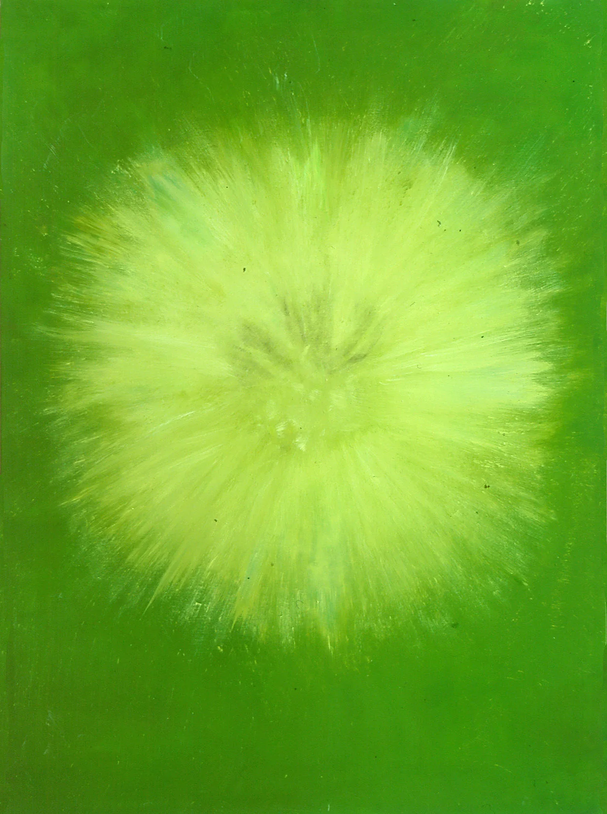 Dandylion II 110 x 150 cm.