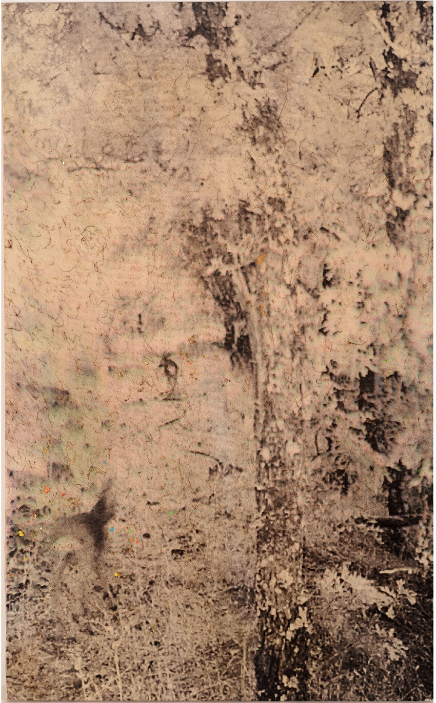 Ánima Capreolus & Quercus, 43 x 66 cm