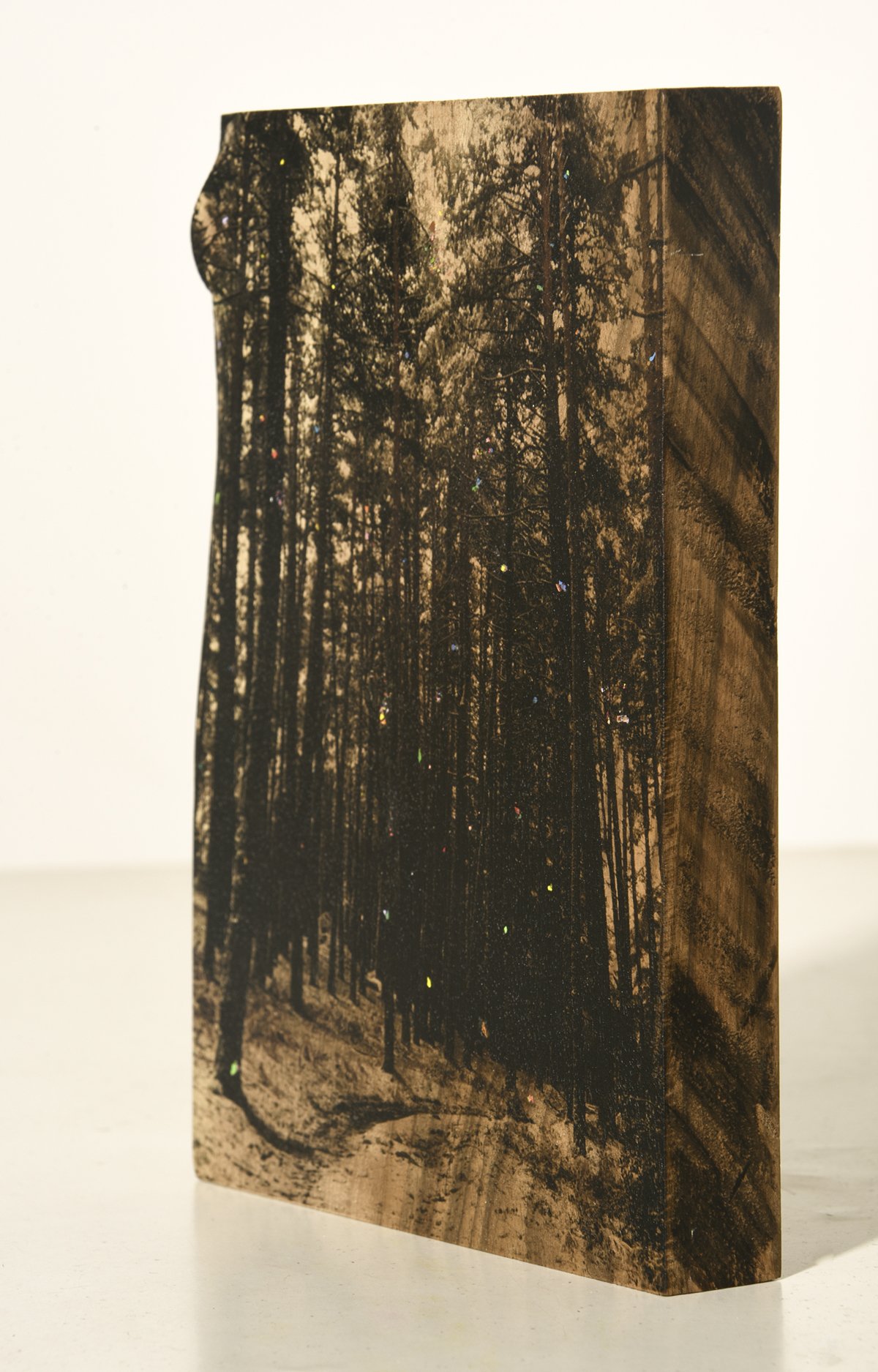 Ánima Pinus, 15 x 20,7 x 2,5 cm