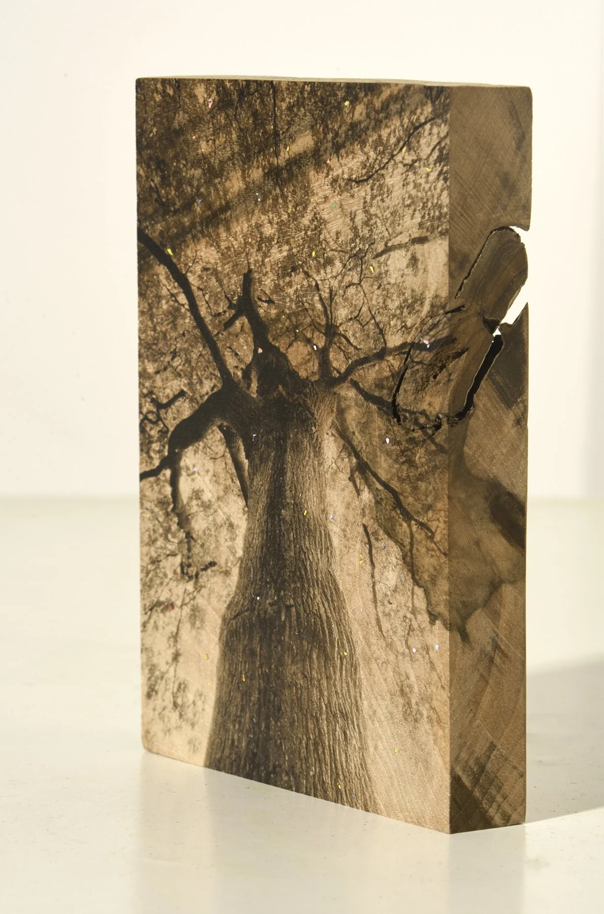    Ánima Quercus robur    Image from motion-activated camera, printed with eco UVI inks on carved walnut tree and paint. 12,7 x 17,9 x 2,5 cm   