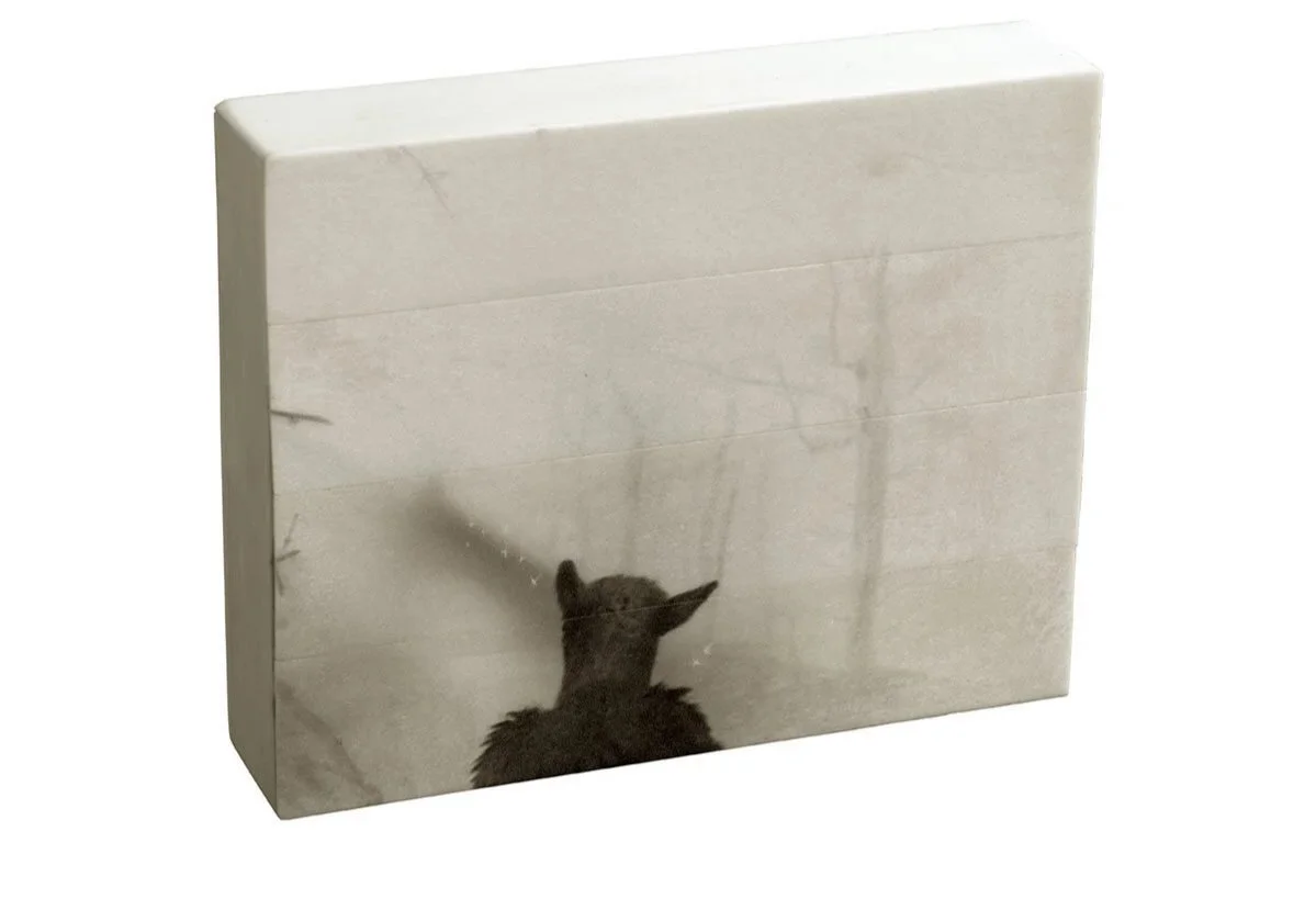    Ánima Ovis musimon   Image from motion-activated camera, printed with eco UVI inks on carved cow bone. 15 x 12 x 3 cm     