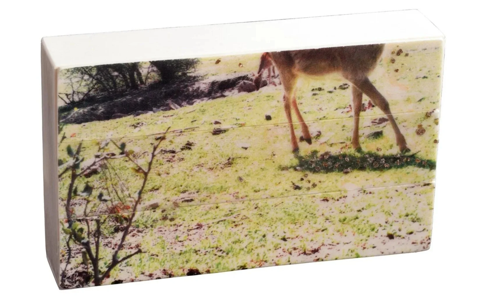    Ánima Cervidae   Image from motion-activated camera, printed with eco UVI inks on cow bone and paint. 15 x 9 x 3 cm    