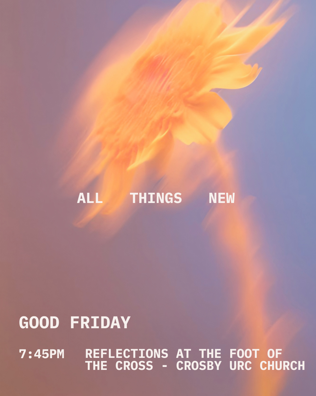 Reflections at the foot of the Cross