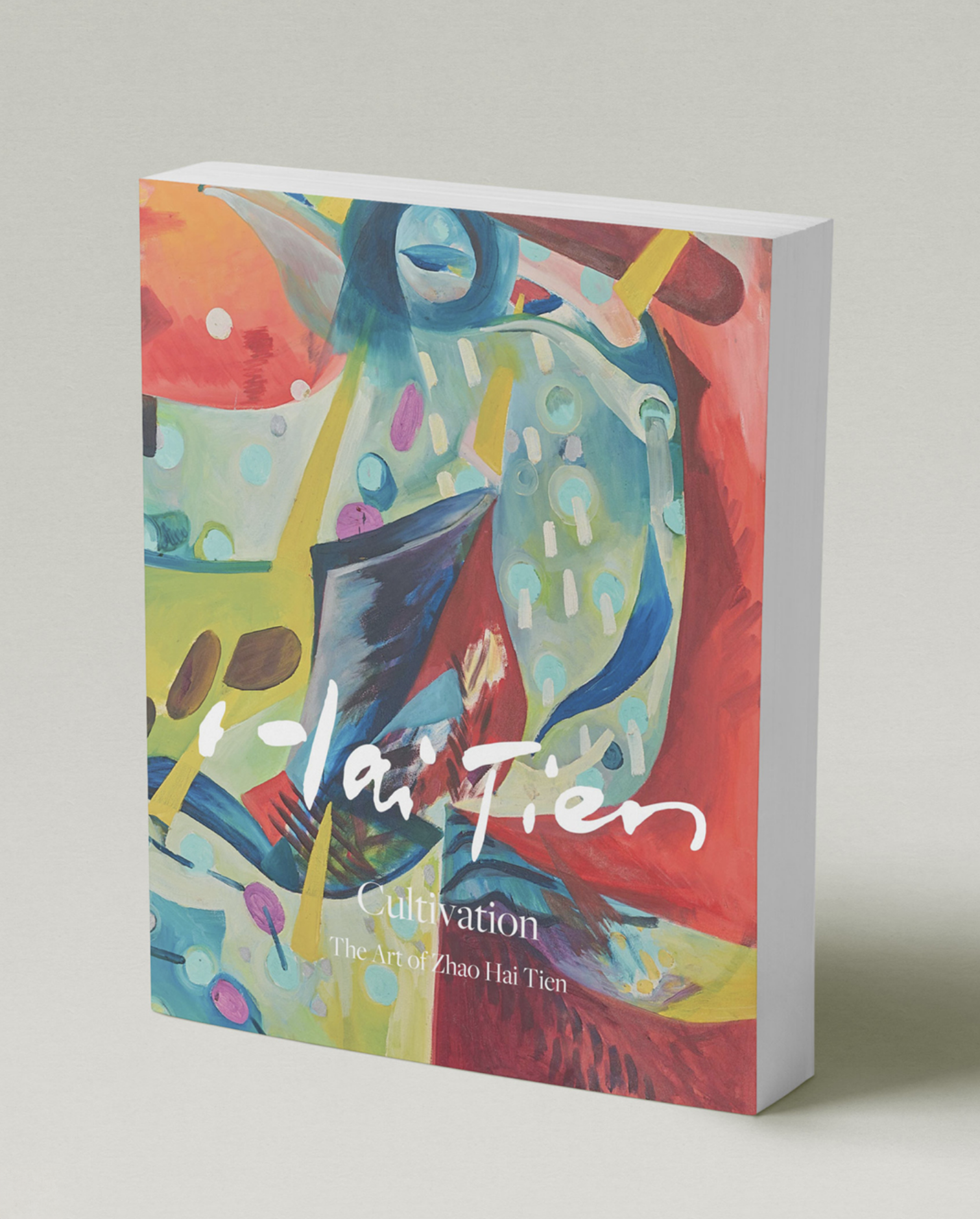 Zhao Hai Tien Artist Book