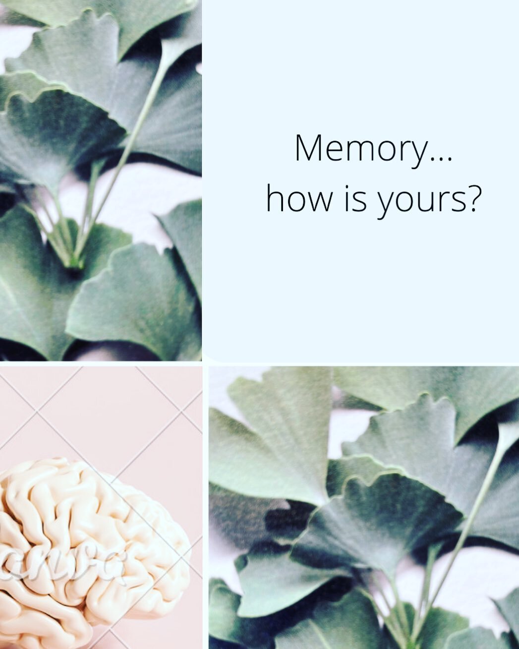 Find yourself questioning your memory?
🌱 info session Saturday May 29
🌱topics: hormones, stress, trauma, nutritional contributors
🌱Suggestions 
🌱 Time for Q&lsquo;s
10:00 MST to 11:30 Zoom
reception@edmclinic.com 
To register&hellip;
#memory #hol