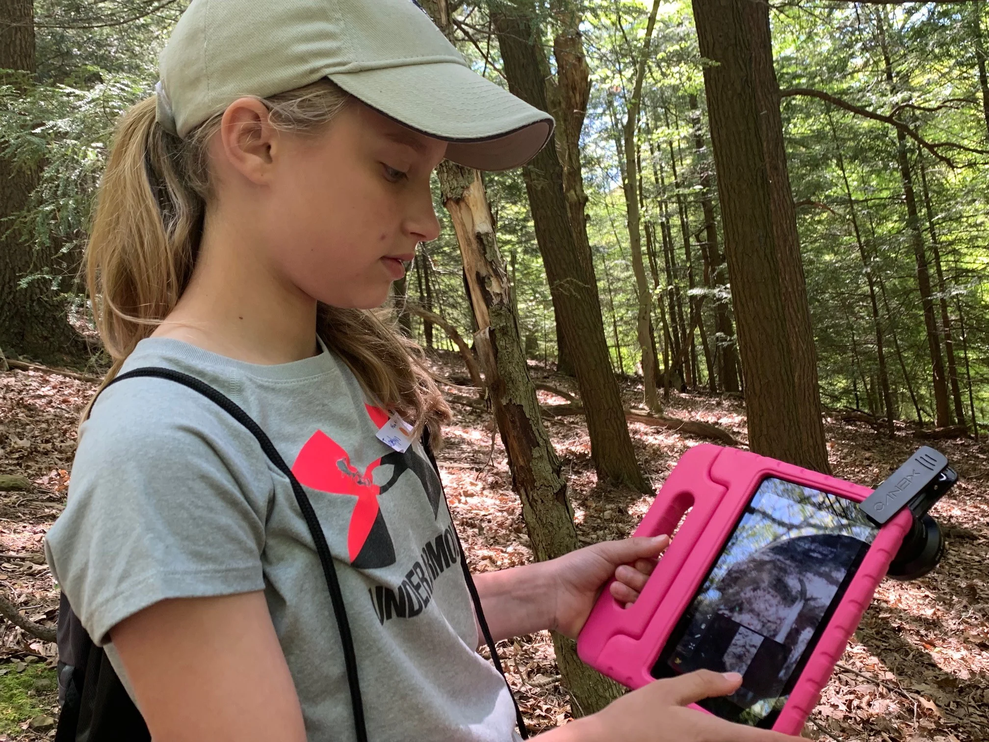 Boardman students study ecosystem at Mill Creek Park