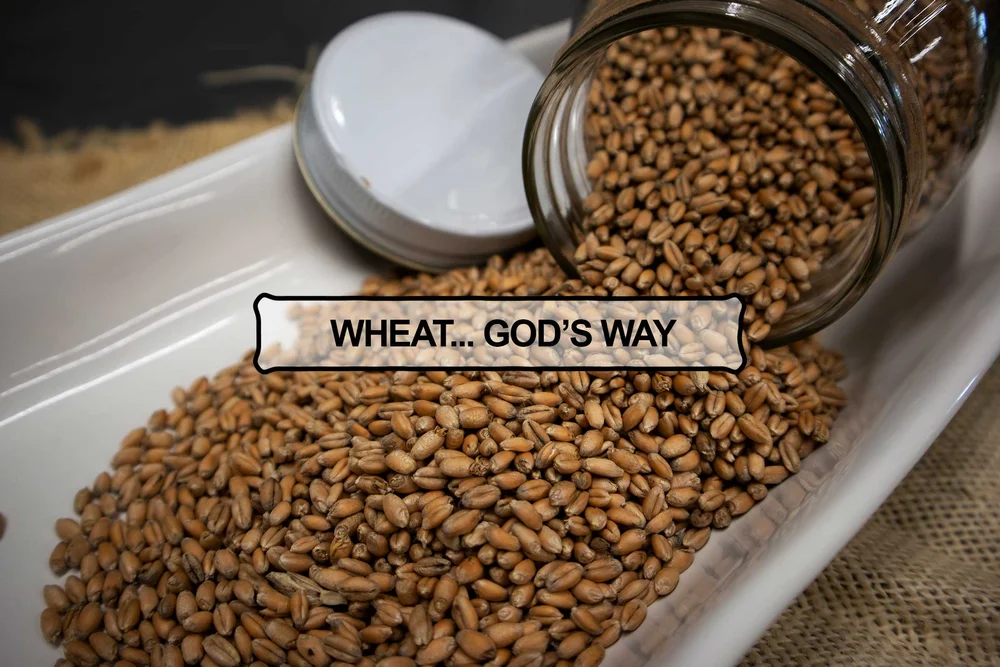 The Wheat You Can Eat Back To The Basics 101