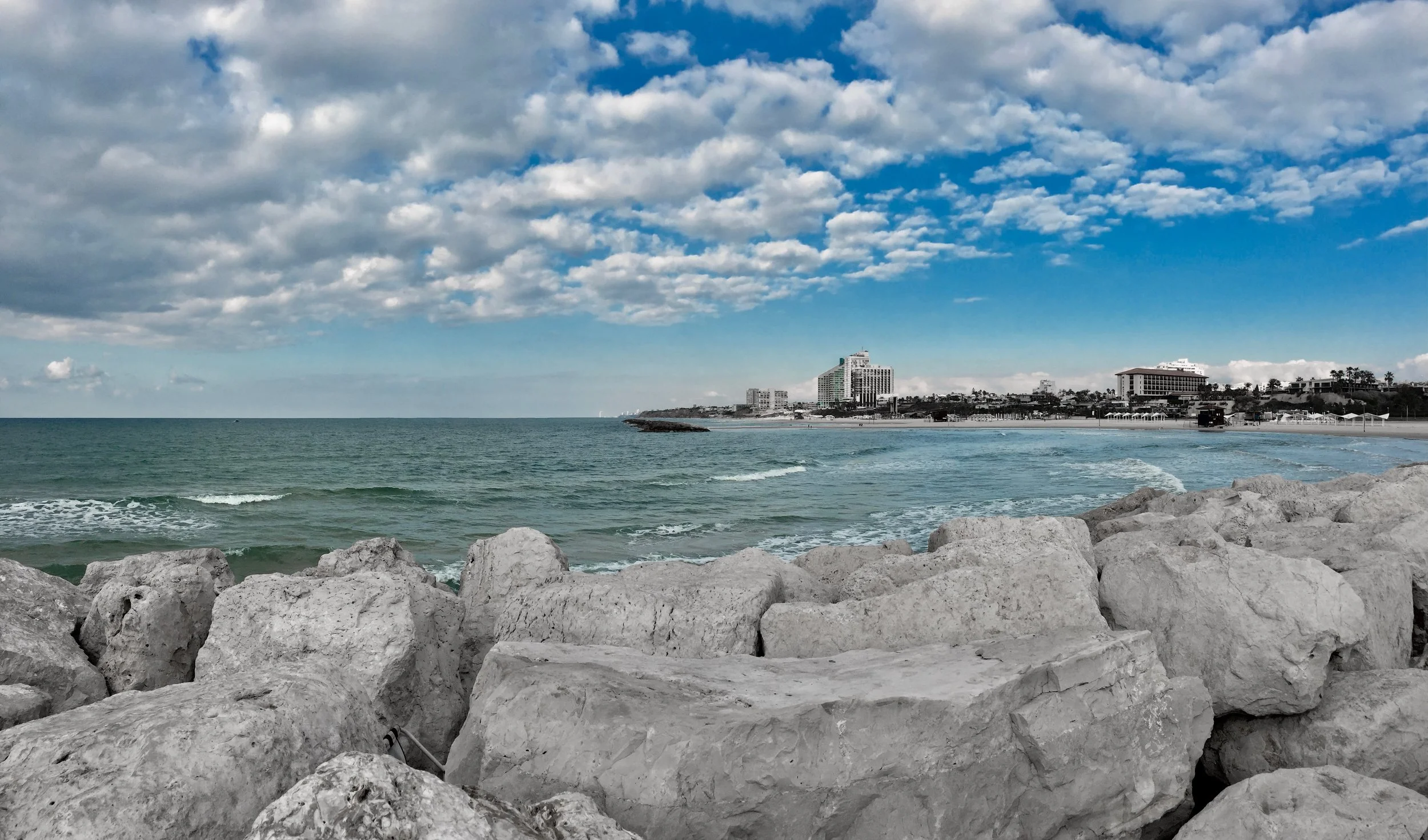 IMG_7887.jpg