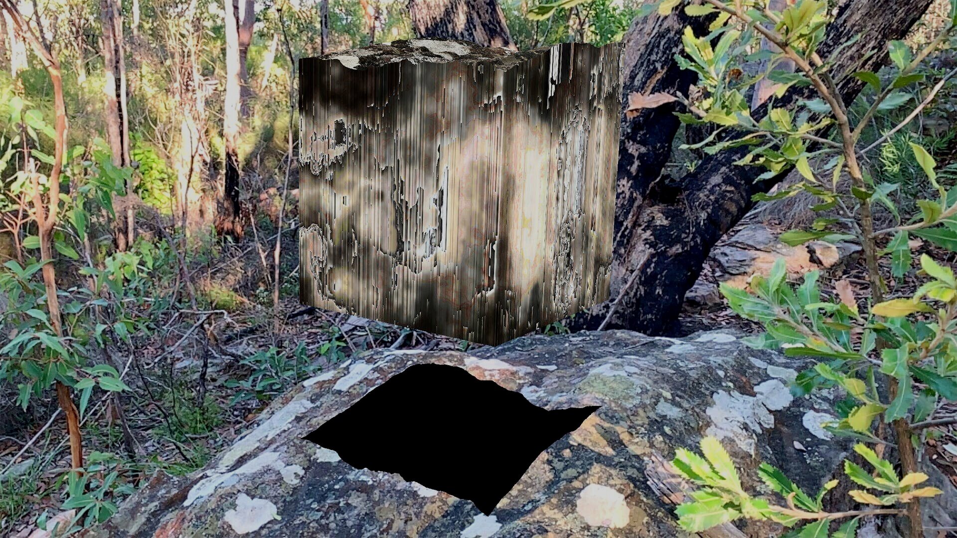 warrenV3.jpg