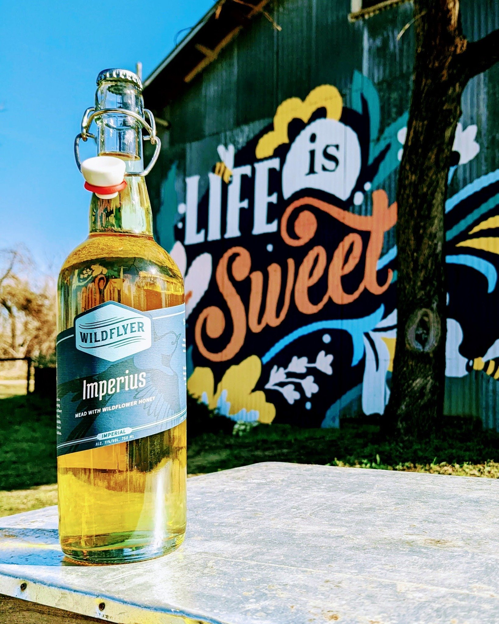 🍯 Life is Sweet! 🥂

Here on the @beeweaverhoneyfarm we've got the perfect weekend afternoon setup! 

You can: 
🍯 try new honeys at the BeeGoods Mercantile 
🐝watch the bees buzz around in our shared yard
🥂 sip on your favorite meads in the tastin