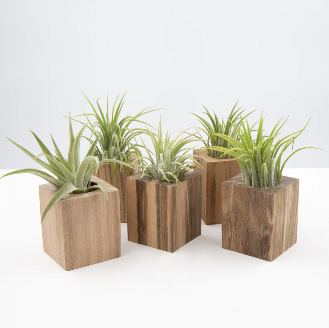 SO VERY LOVELY Creates Artisan Goods for Your Home Sanctuary