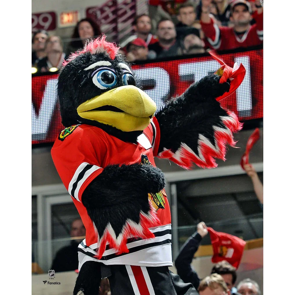 tommy-hawk-chicago-blackhawks-unsigned-crowd-celebration-photograph_pi3912000_ff_3912978-2d611ab8a17444bba23f_full.webp