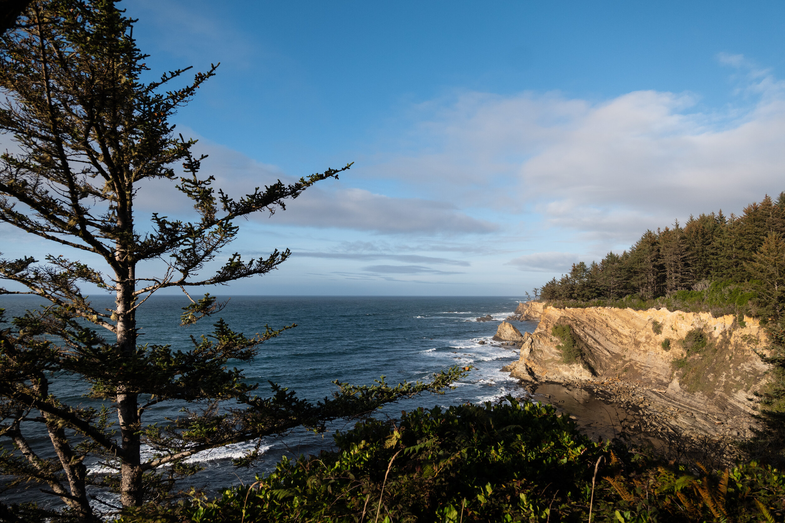 Cape Arago — Travels and Curiosities | Hidden Gems, Unique Travel ...