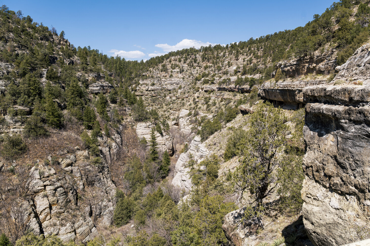 Walnut Canyon Trail Map Visiting Walnut Canyon: Island Trail And Rim Trail Overview — Travels And  Curiosities | Hidden Gems, Unique Travel Destinations, And All Things Weird  And Curious