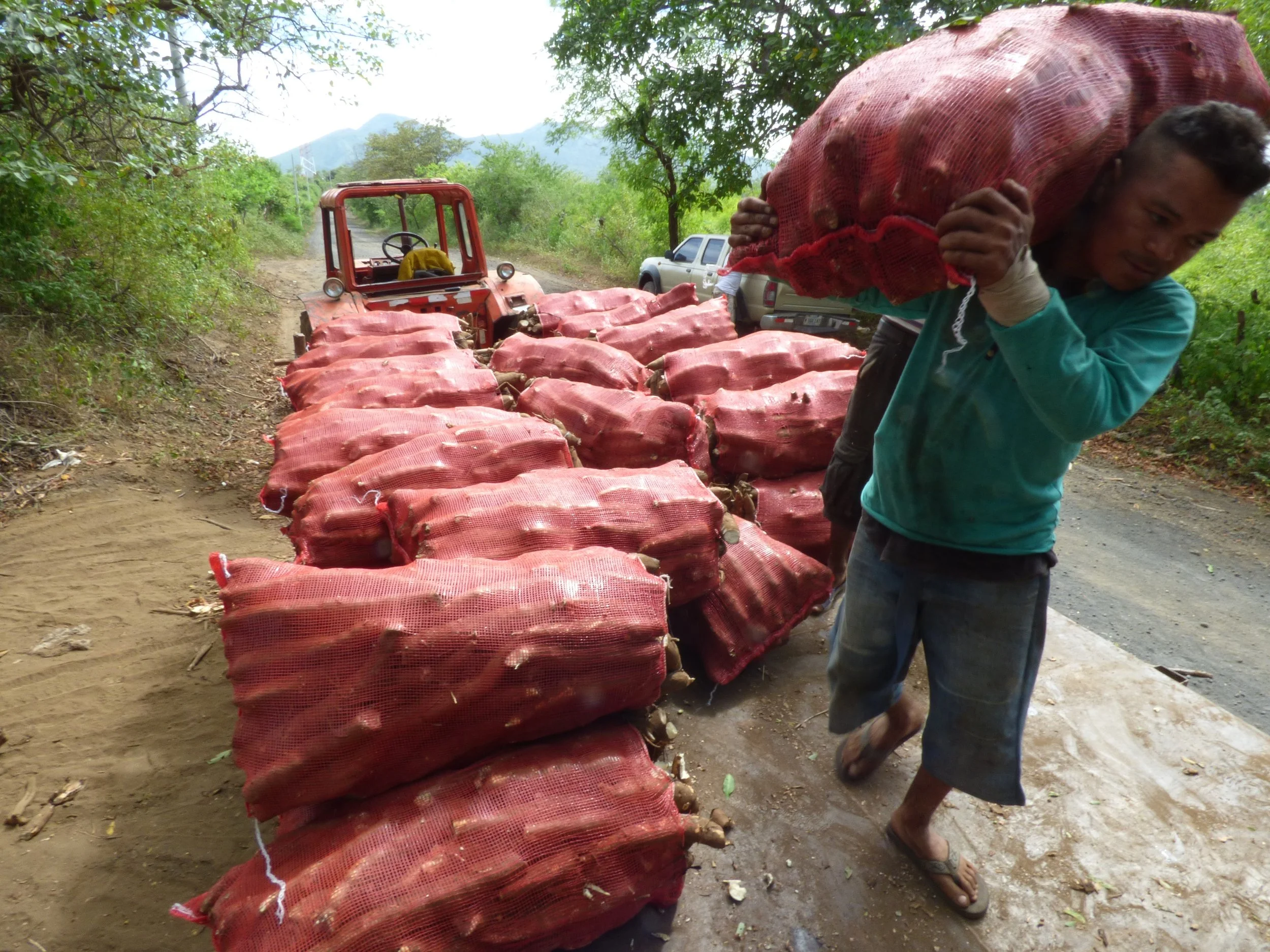 Food Insecurity Increases in the U.S. While it Declines in Nicaragua