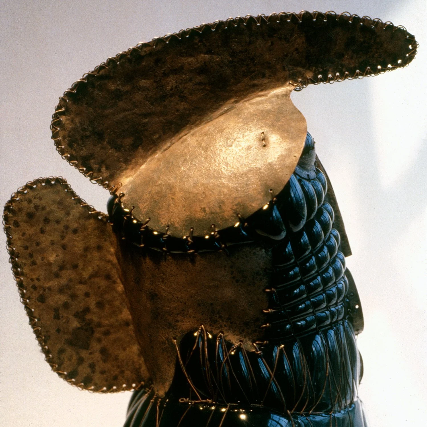Helmeted Warrior | DAS0668