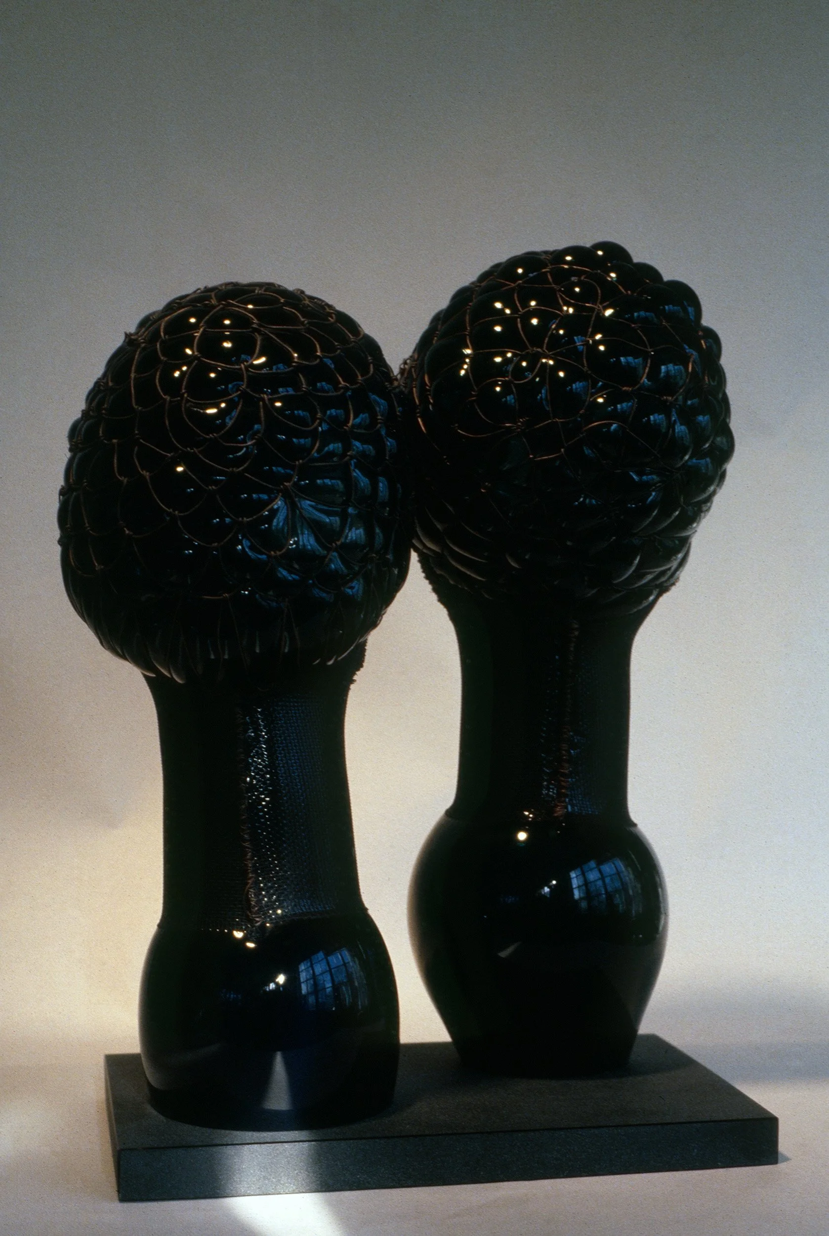 DAS0744_Don Shepherd_1981
