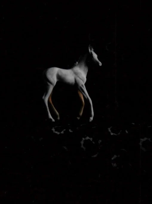 21pony.jpg