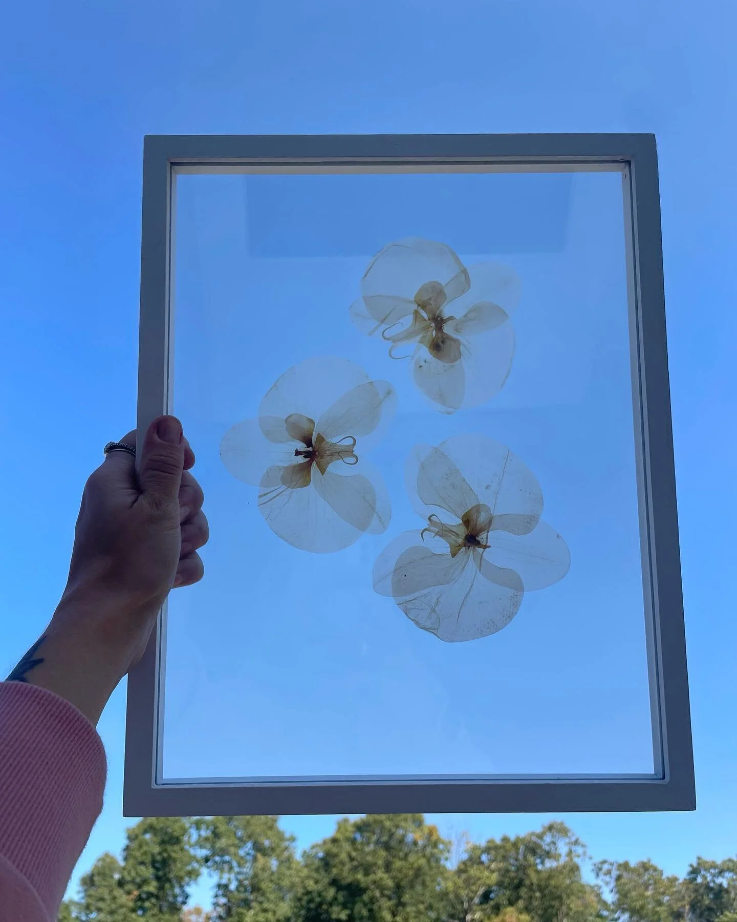 Simplicity 💕😍 
&bull;
Super hard to take pictures of my pressed bouquets but this is one of my personal favorites from the year! #floralpreservation #art #floralart