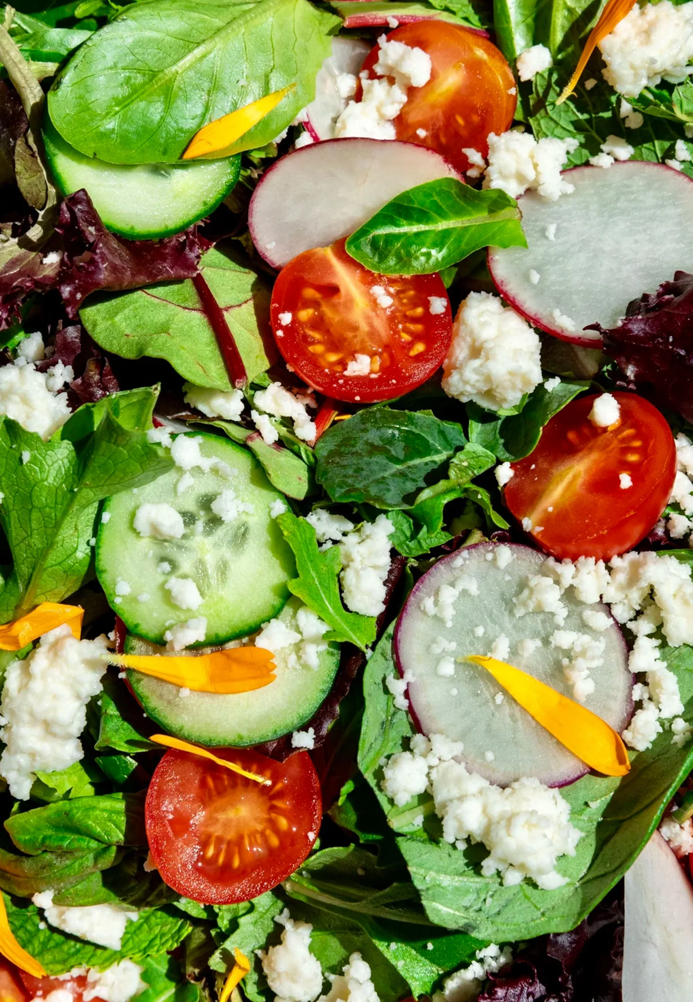 Cara-Harman-Food-Photographer-11.jpg