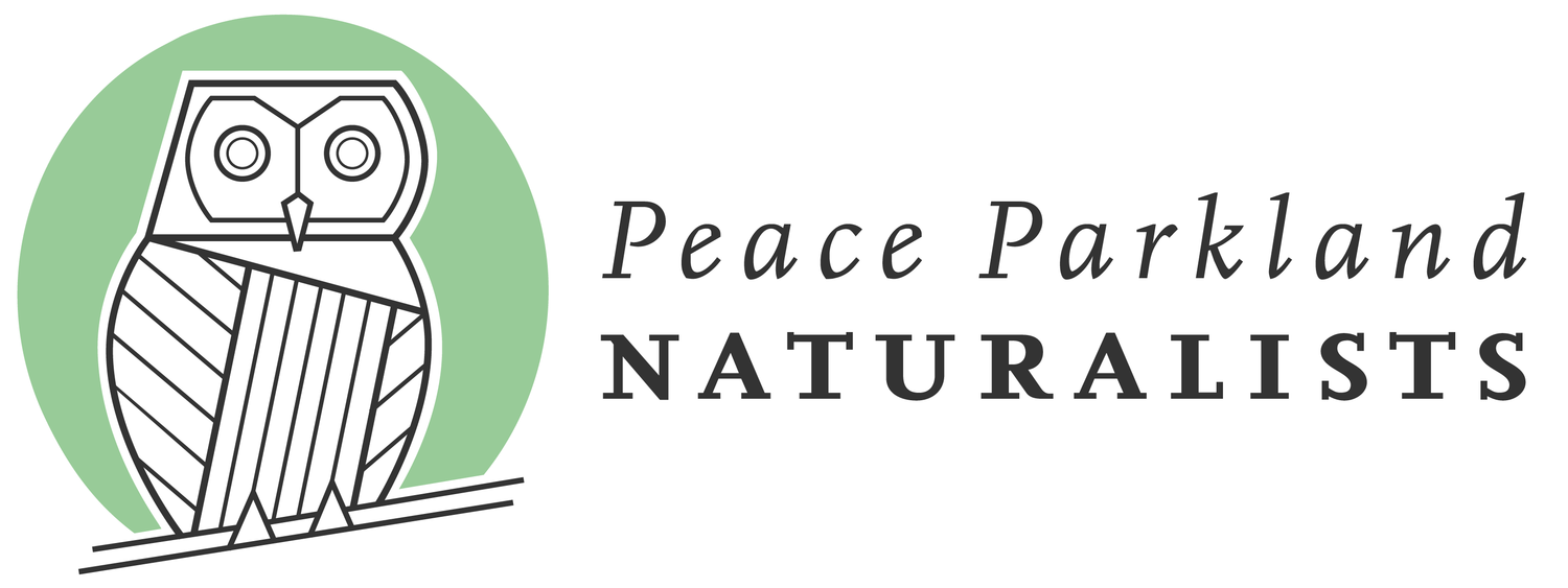 Peace Parkland Naturalists