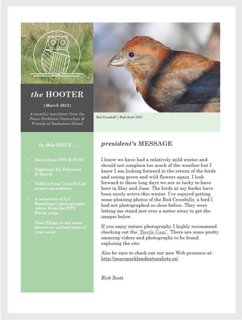 publications-02.png