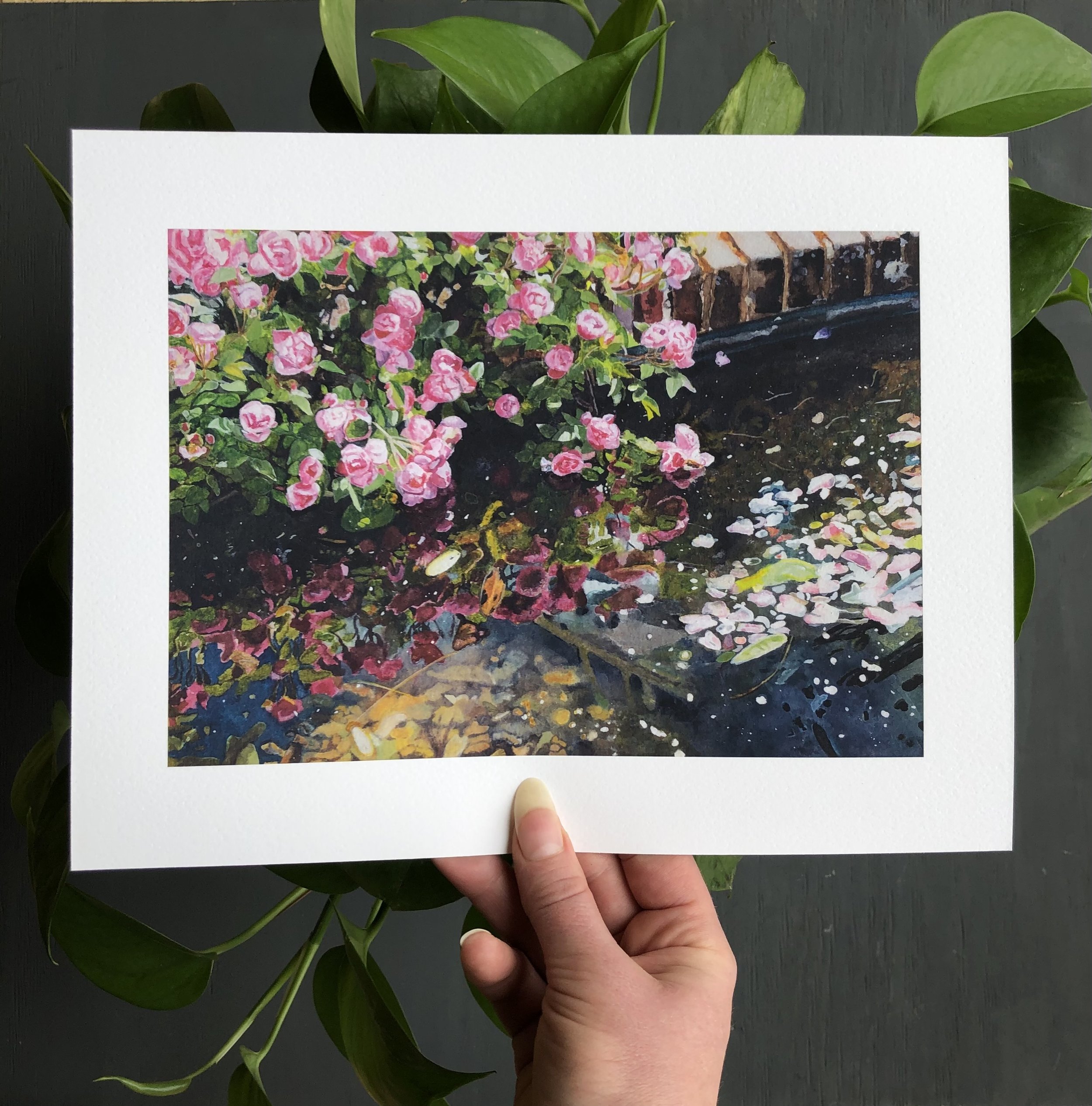 "Mottisfont Rose Pond" - Print