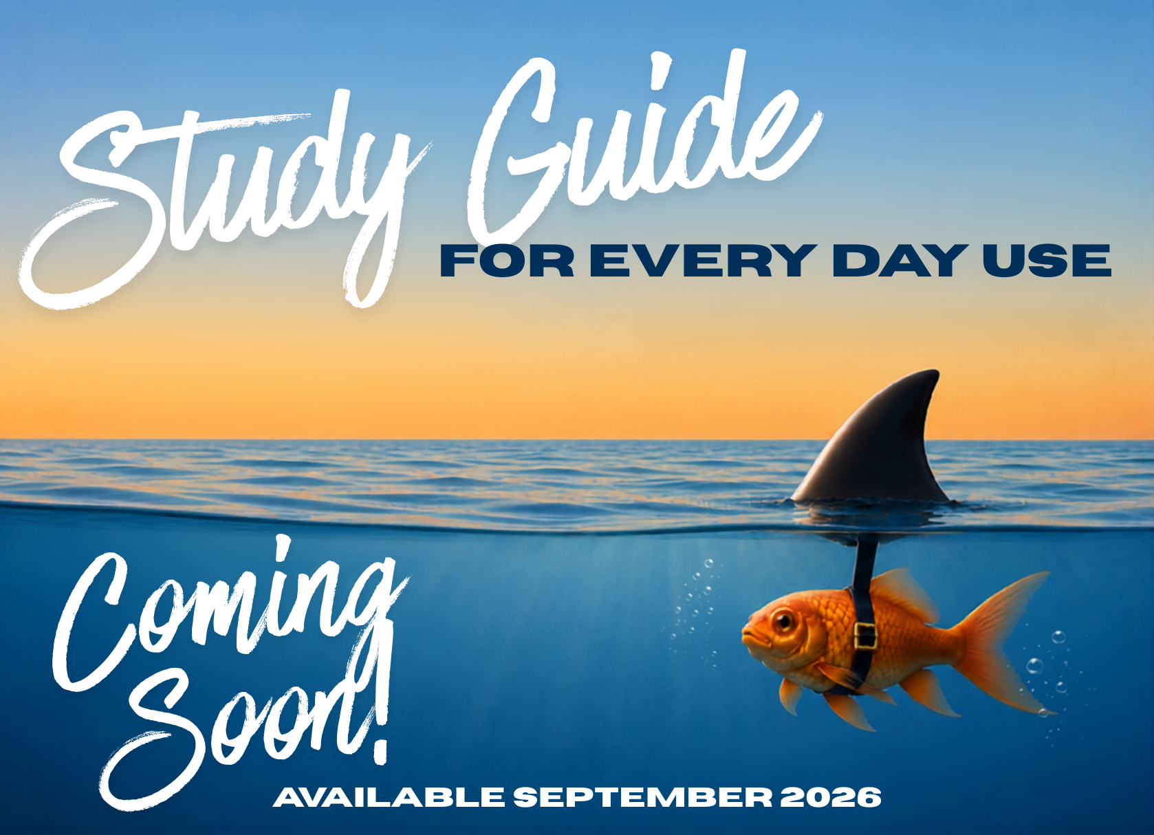 Study Guide for Every Day Use