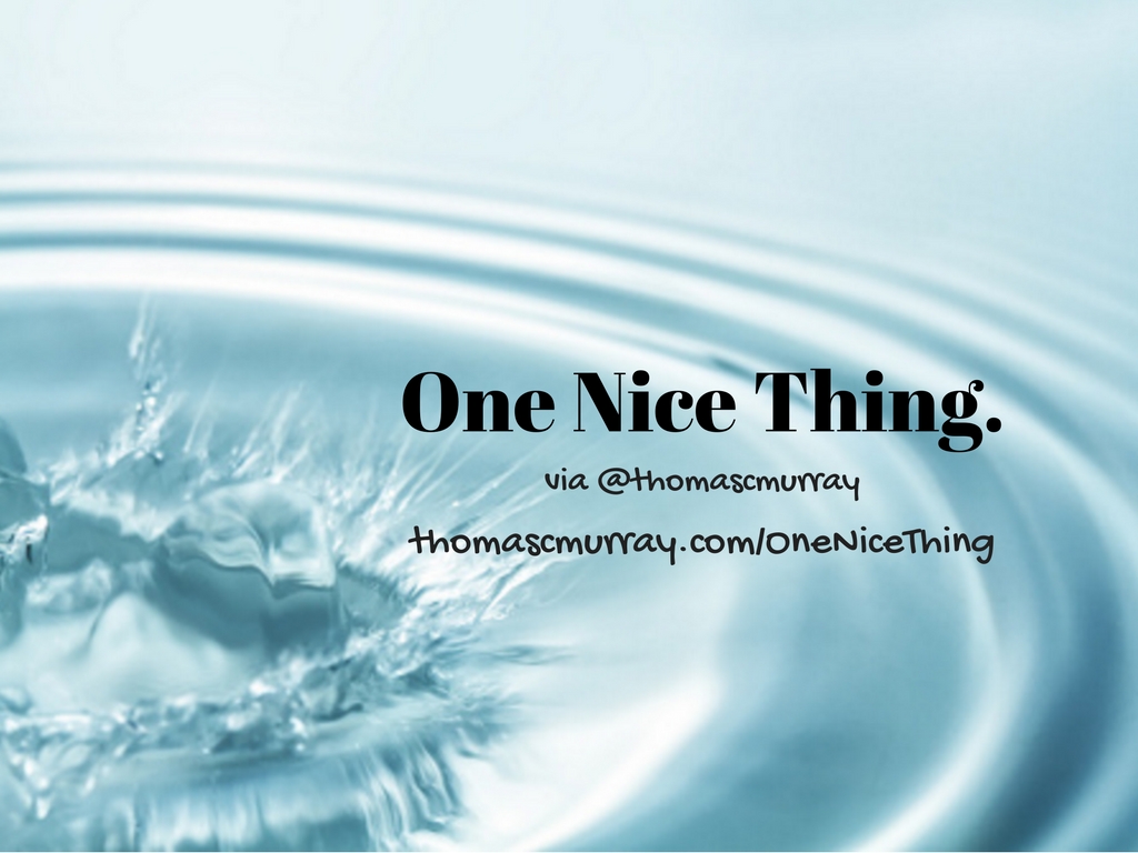 One-Nice-Thing..jpg