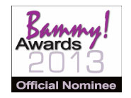 Bammy Awards 2013 (Copy)