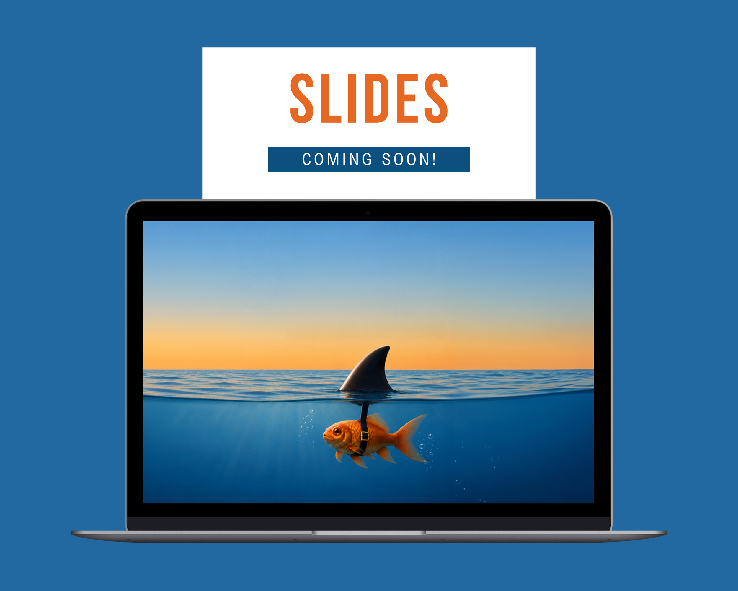 Slides.png