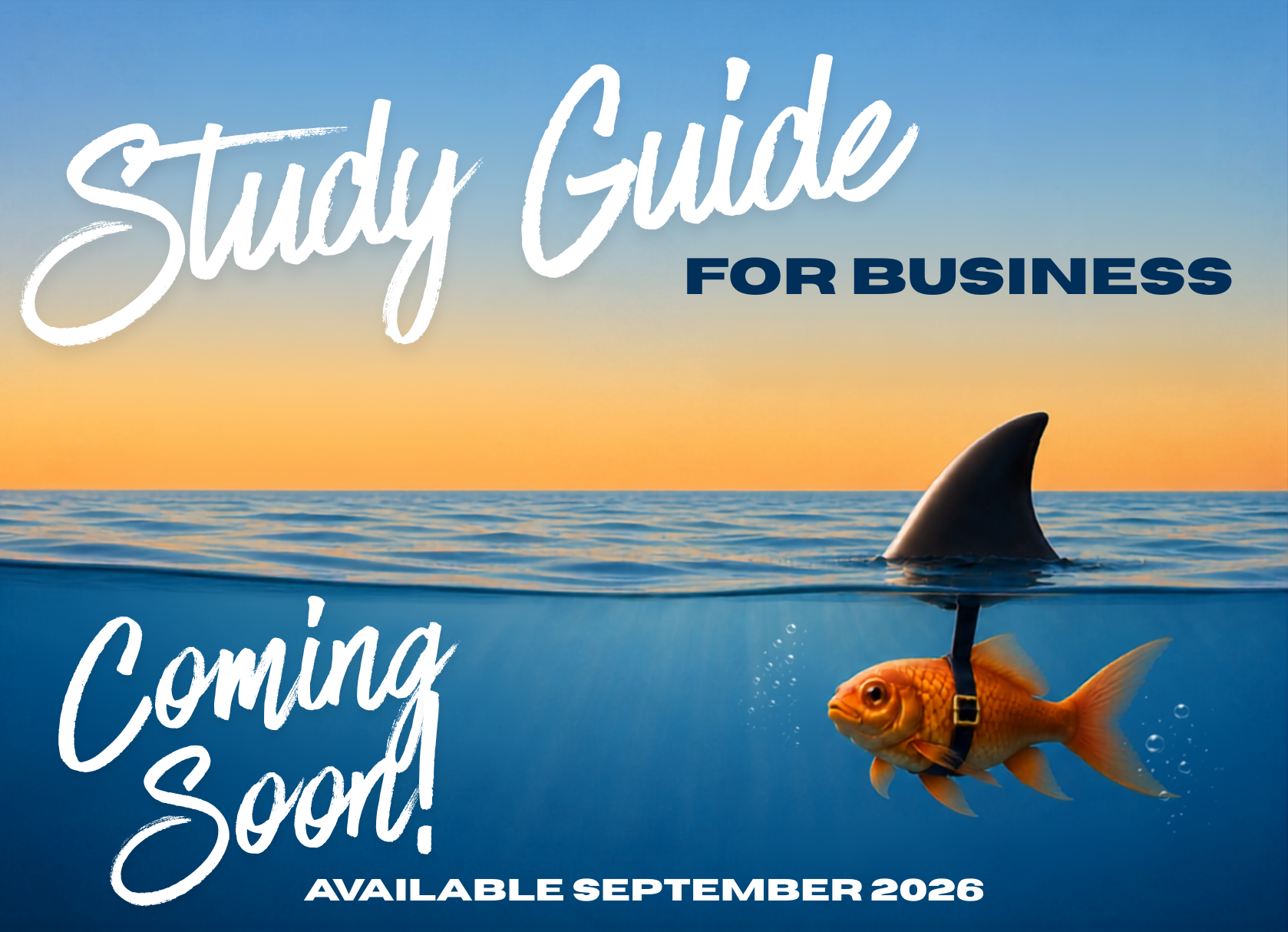 Business Study Guide Coming Soon