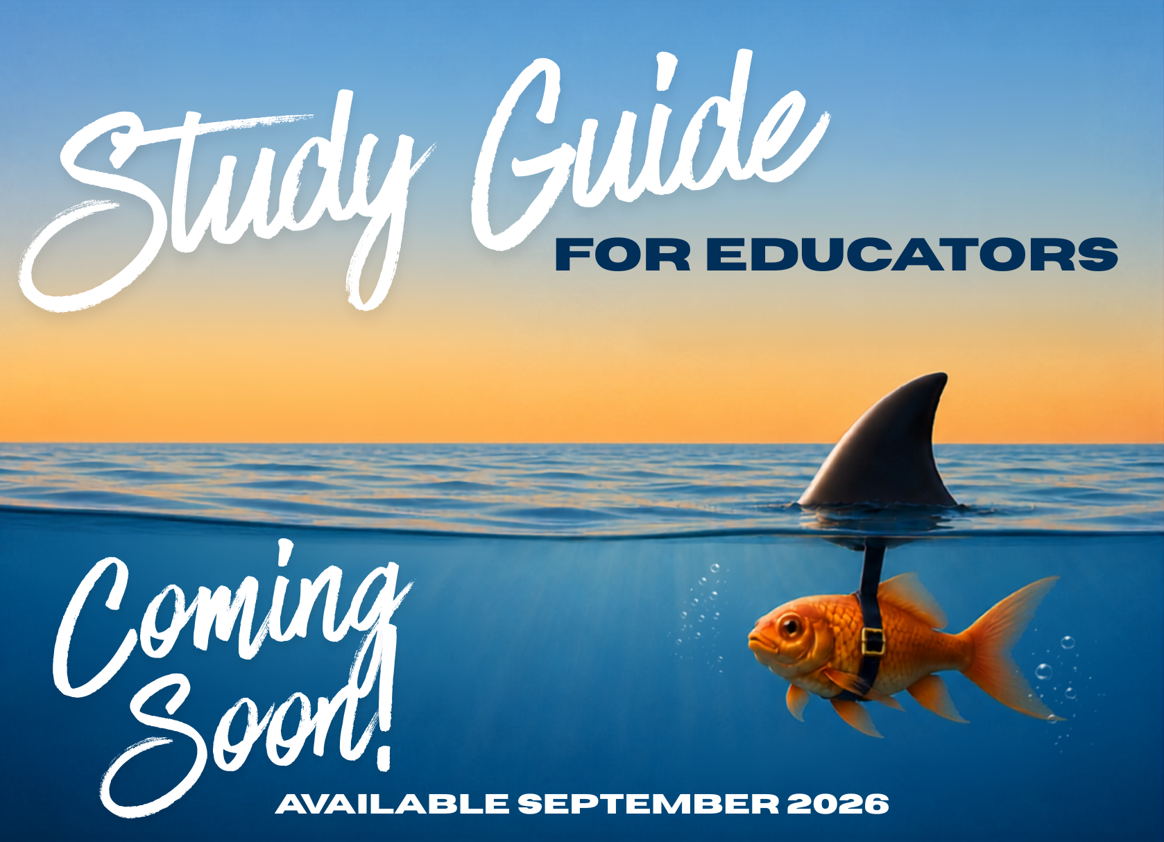 Education Study Guide Coming Soon